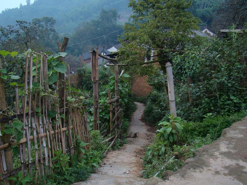 " href="/item/隶">隶 /a>属于云南省红河州红河县乐育乡乐育村委会