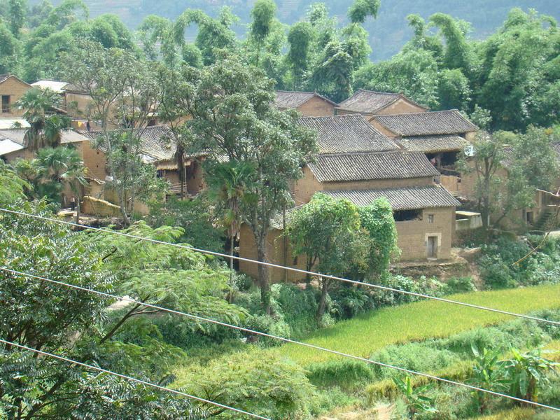  p>南罕村隶属于云南省红河州红河县大羊街乡新村,属于坝区,位于大