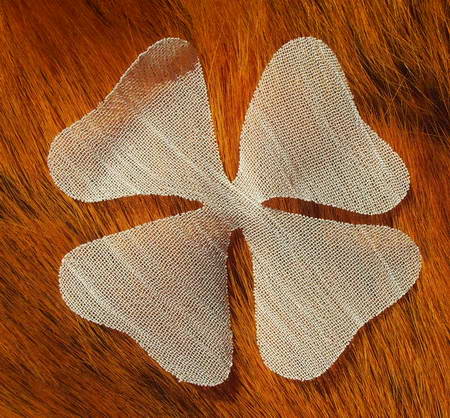  p>激光烧花就是利用激光的高能量密度特性,投射到服装材料表面,将