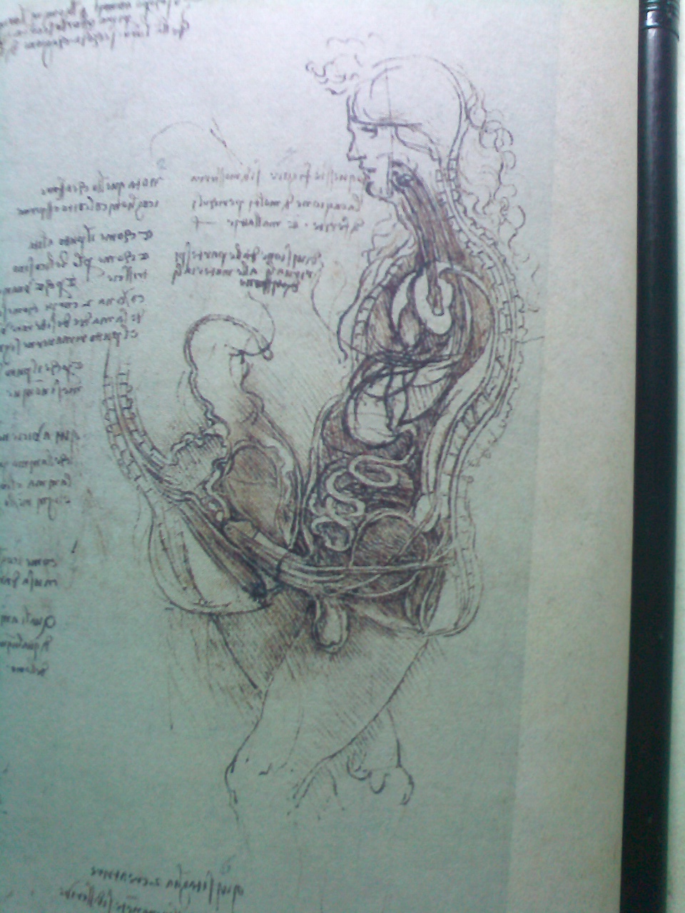 列奥纳多·达·芬奇