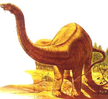  p>叉龙(学名:dicraeosaurus)是一属小型的 a