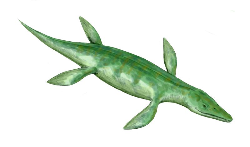  p>克柔龙(属名:kronosaurus)又名克诺龙, a h