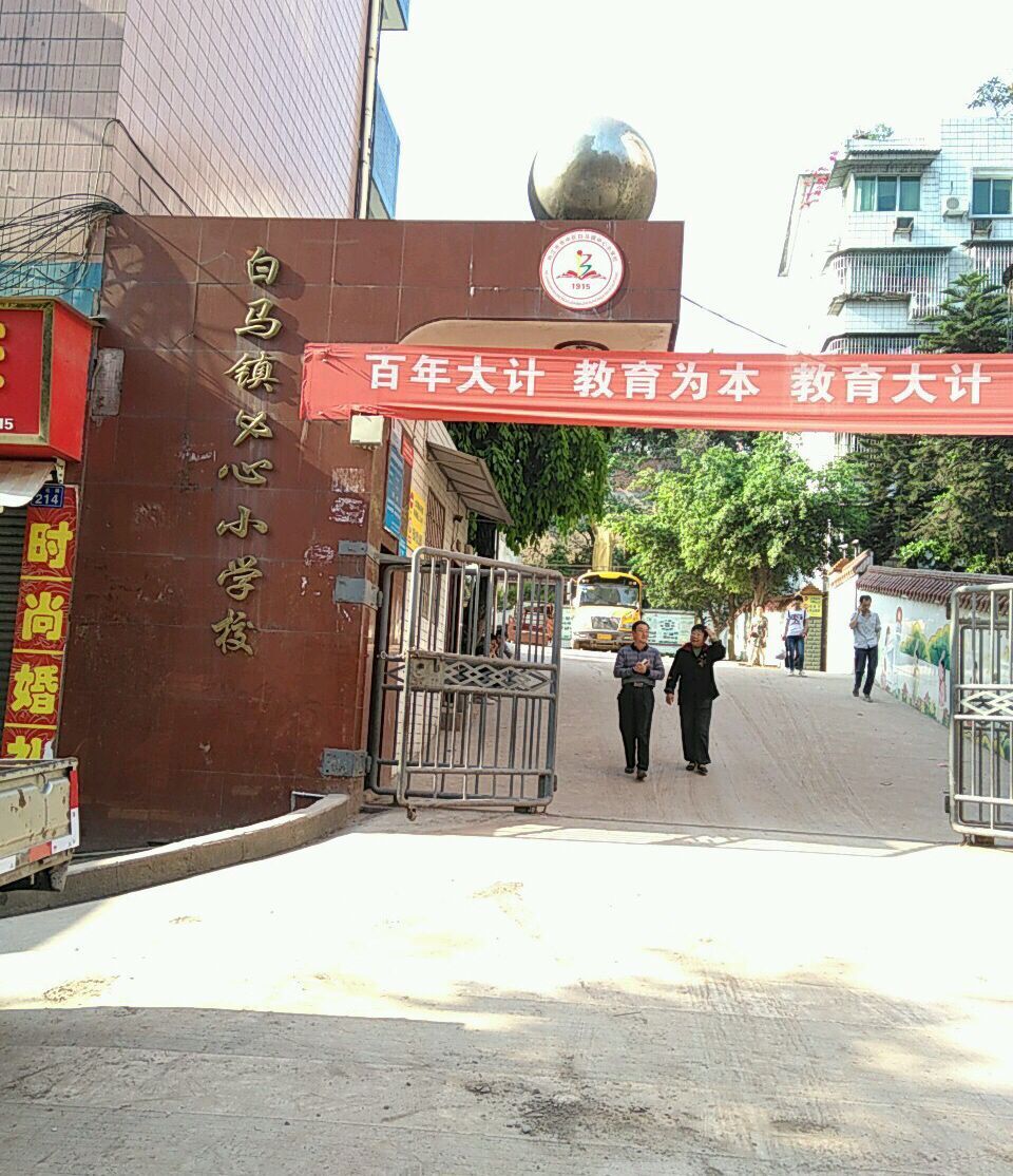 遂宁市白马镇中心小学校