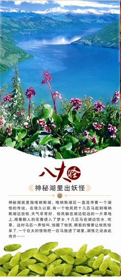 新疆八大怪