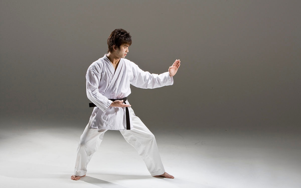 世界武术七大家