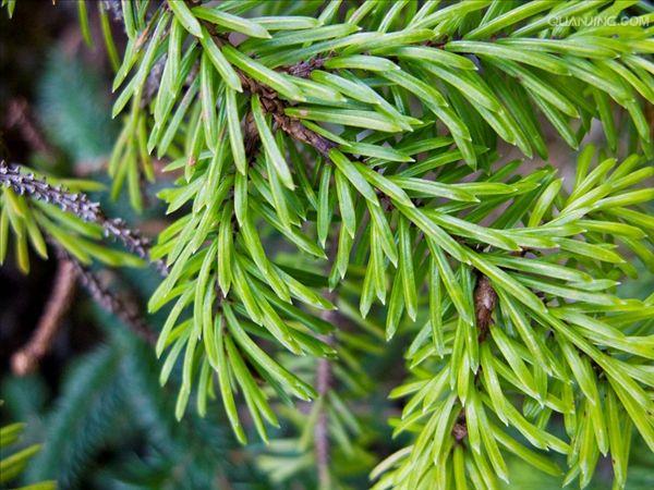  p>太平洋(pacific ocean)是世界上最大,最深,边缘海和岛屿最多的大洋