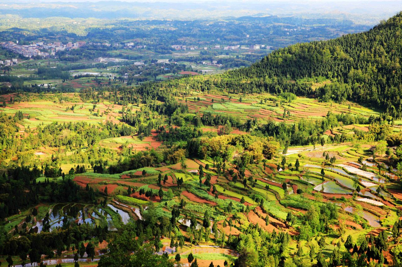 金城山森林公园