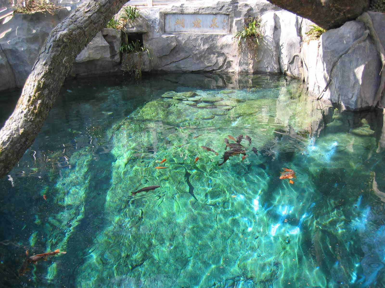 云南大理蝴蝶泉