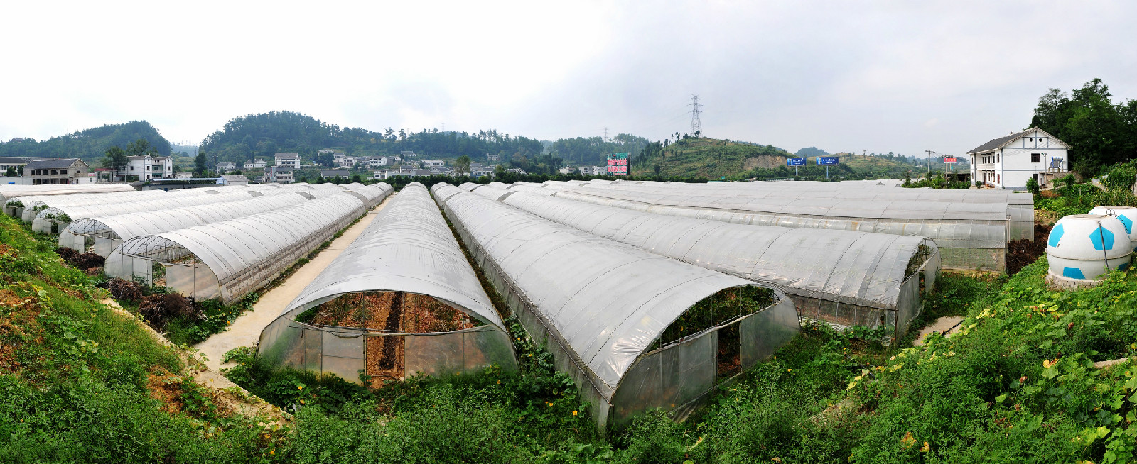 r4">三合镇,贵州省 a target="_blank" href="/item/遵义市/1706561"