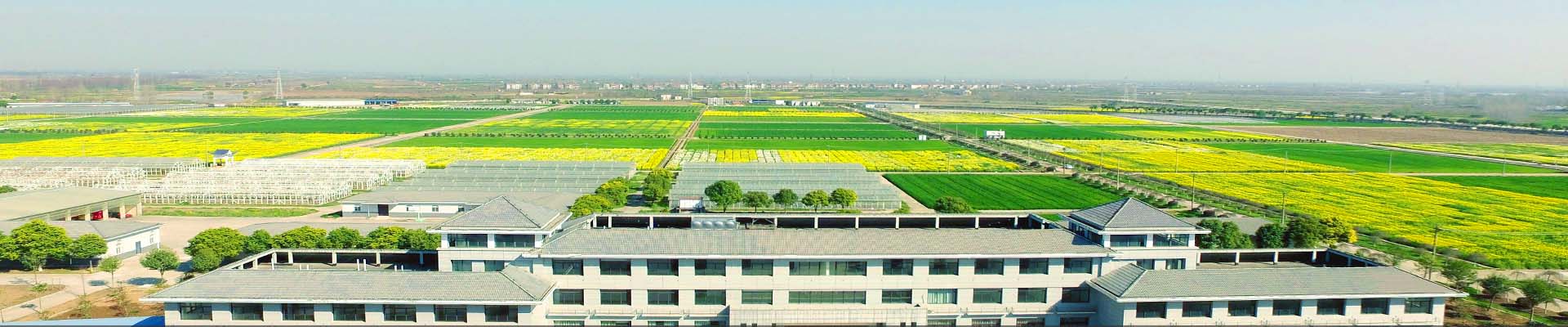 中国农业科学院油料作物研究所