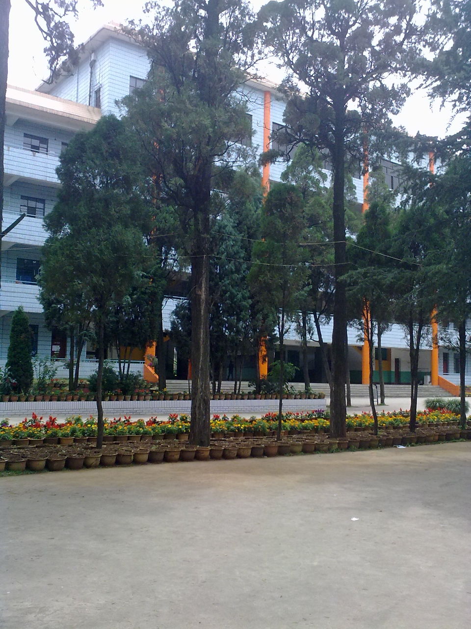 宣威市第一中学