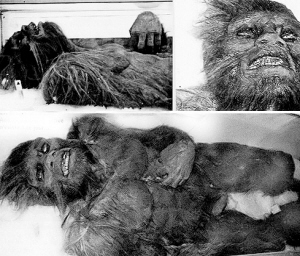 雪人又被称为大脚野人,夜帝