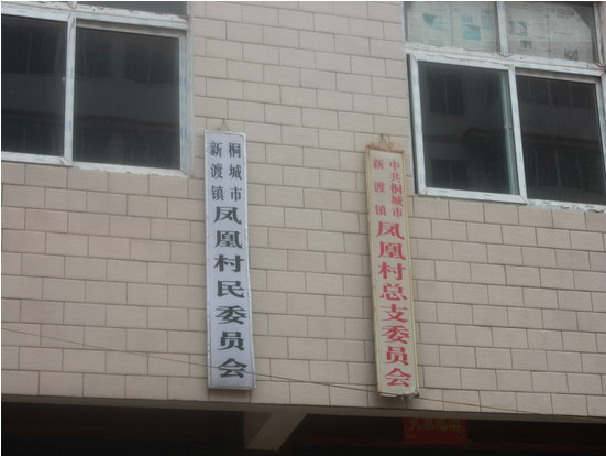 凤凰村