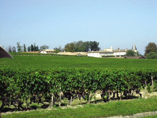  p>波亚克产区(pauillac)位于st estèphe(圣爱斯泰夫产区)的南部,st