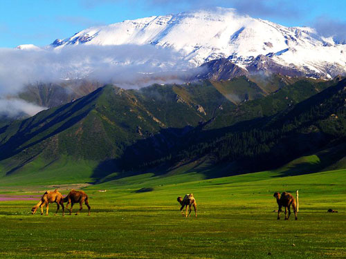 新疆维吾尔自治区