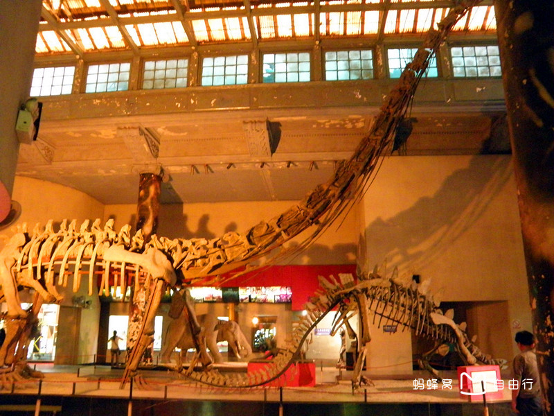 上海自然博物馆