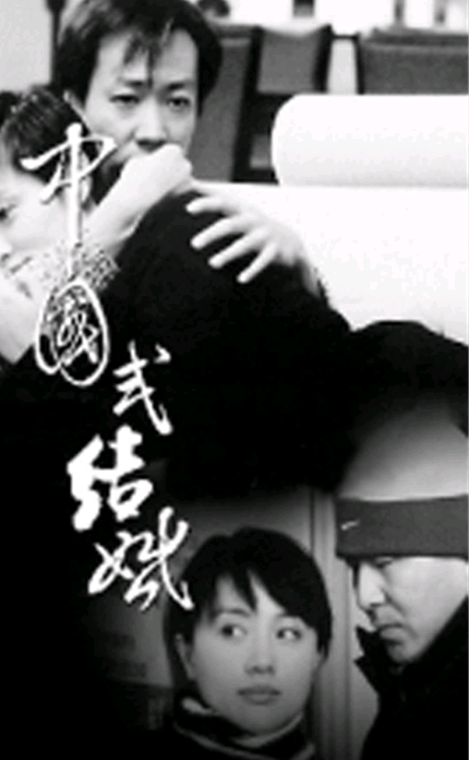 二十集电视连续剧中国式结婚三碟装(dvd)