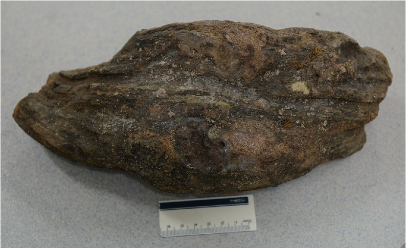  p>火山弹是 a href="#" data-lemmaid="1247207">火山喷发 /a>时, a