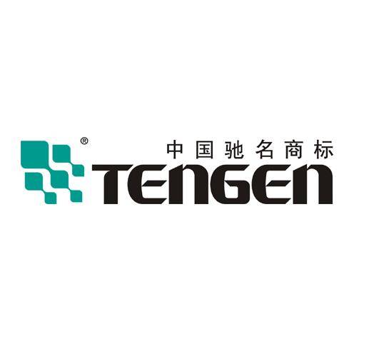 天正集团有限公司_百度百科
