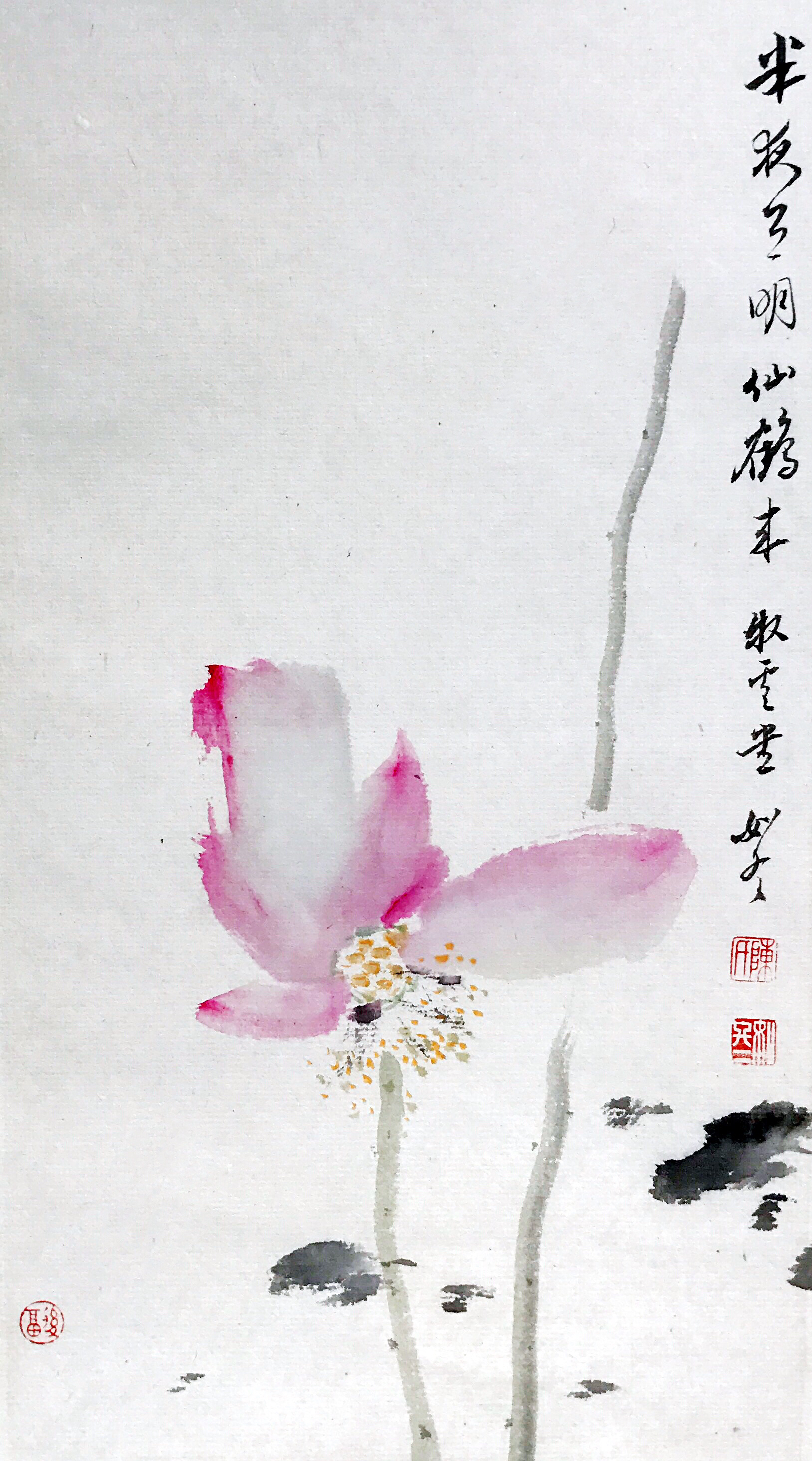陈如冬,1970年5月生于<a target="