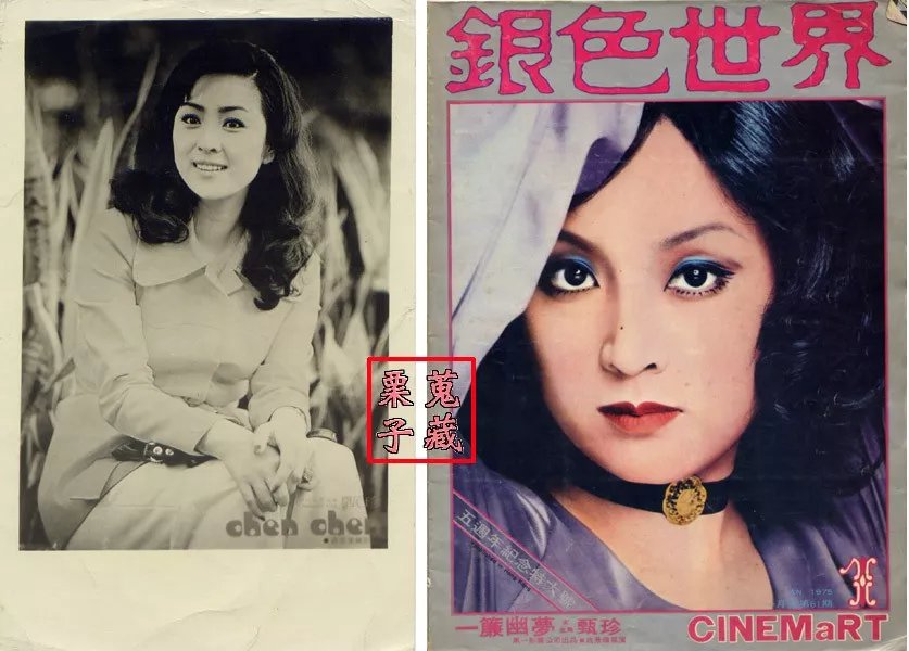 甄珍：曾是台湾第一玉女，与前夫做了28年假面夫妻！_百科TA说