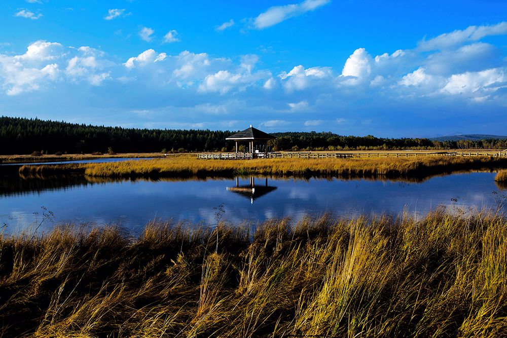  p>库布其国家沙漠公园七星湖景区是由全球知名沙漠绿色经济企业—— 