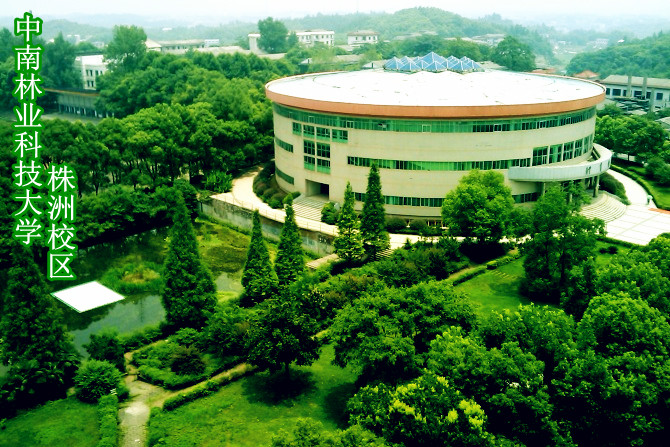 中南林学院