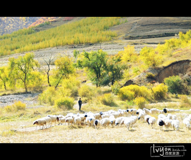 木兰围场国际狩猎场