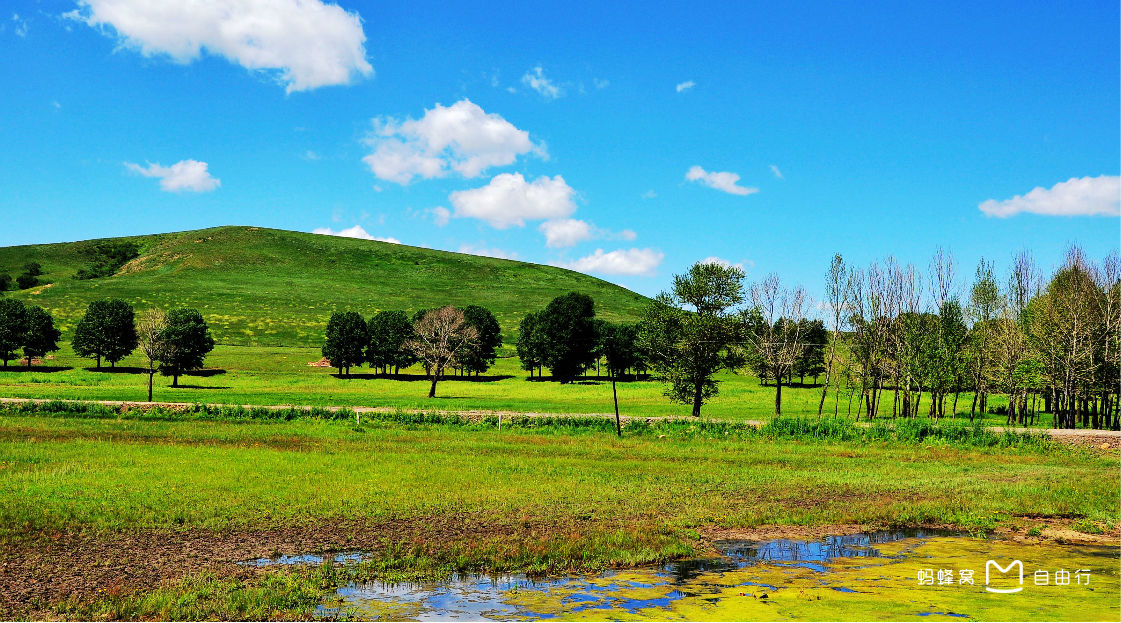  p>御道口牧场草原森林风景区位于 a target="_blank" href="/item