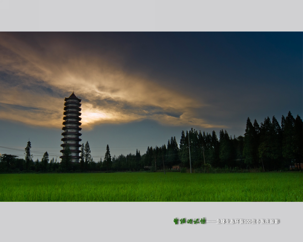 张庄公园位于安徽省 a target="_blank" href="/item/阜阳市">阜阳市 