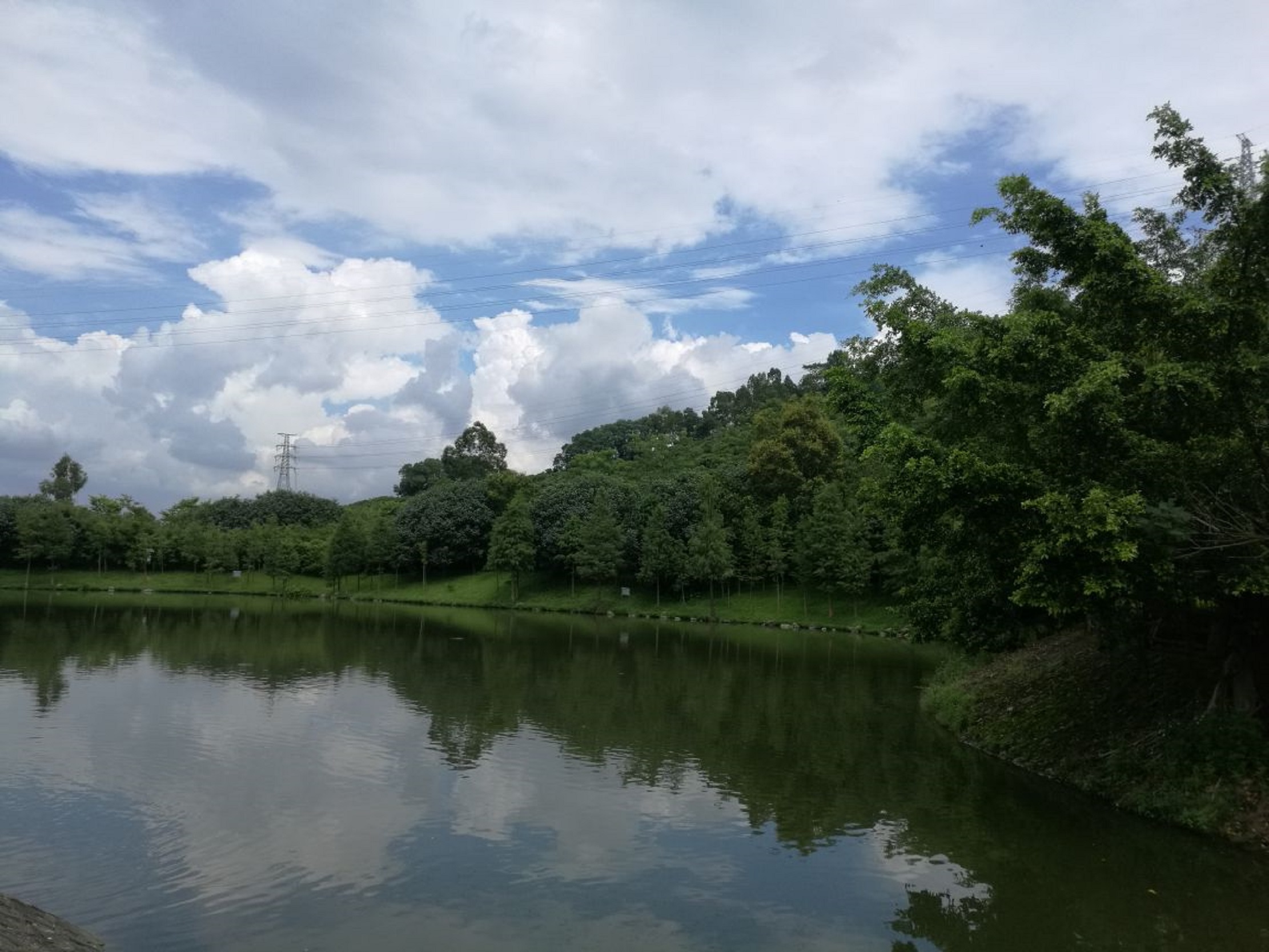 凤凰山,全称深圳市凤凰山森林公园,位于深圳市宝安区西南部的福永镇 a