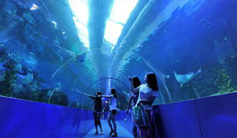 抚顺皇家海洋世界