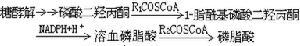 软硬酸碱理论