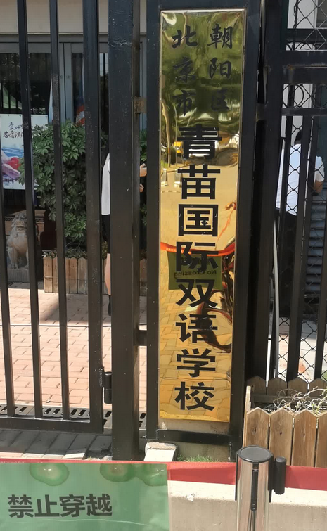 北京市朝阳区青苗国际双语学校