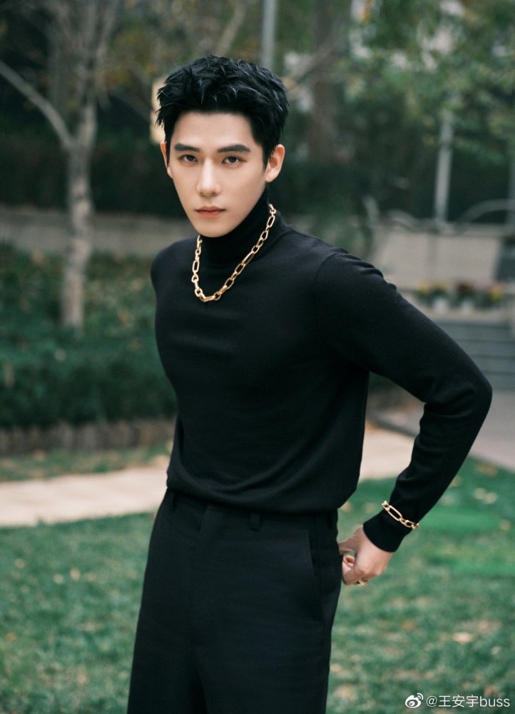 王安宇（中国内地男演员）_百度百科