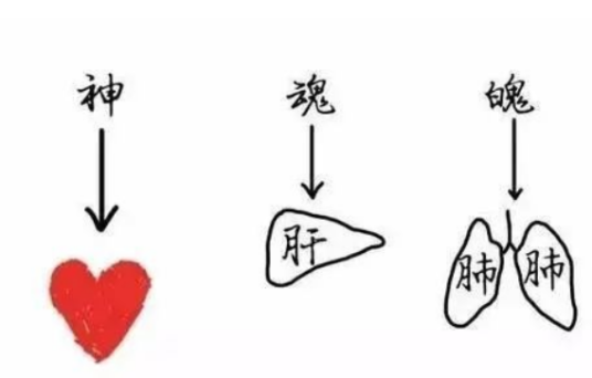 魄（中医释义）_百度百科