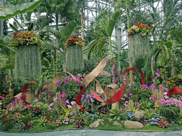 2024上海(国际)花展