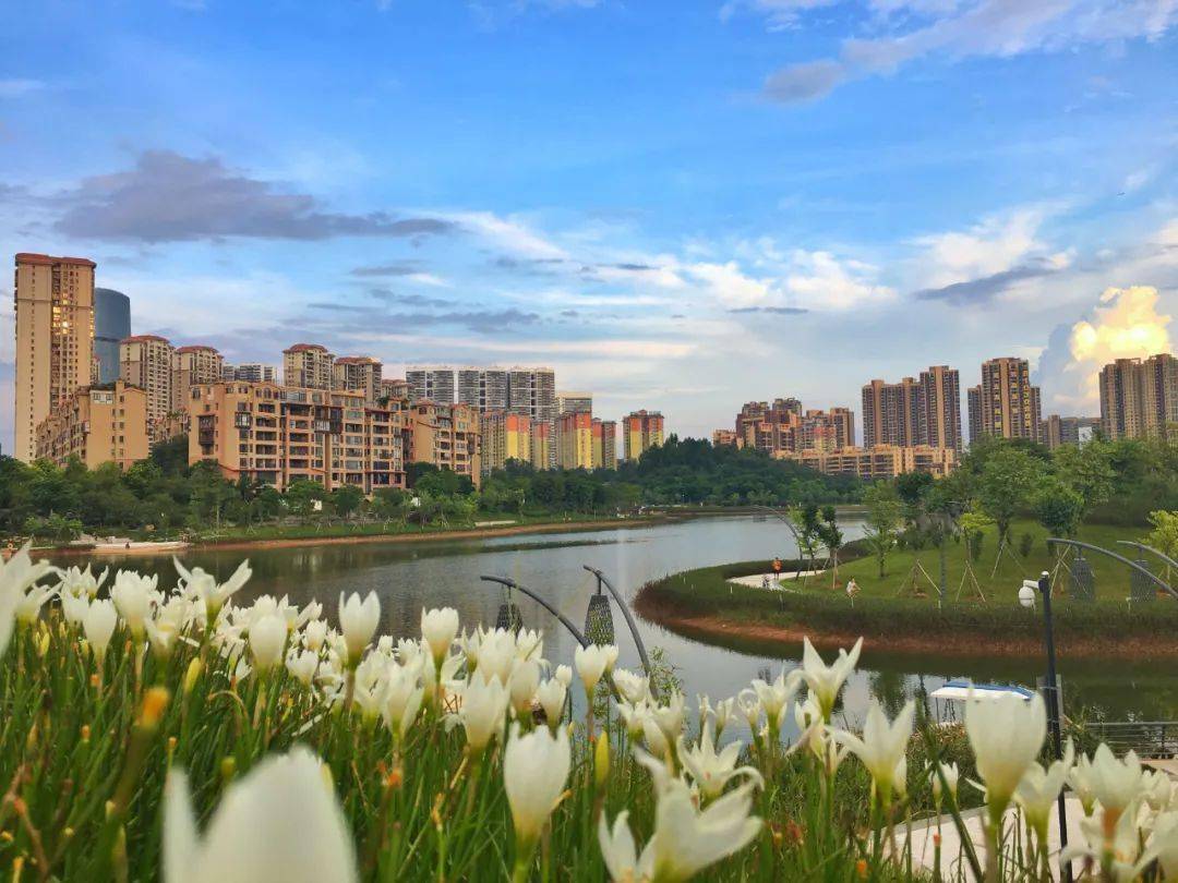 狮山镇（广东省佛山市南海区辖镇）_百度百科