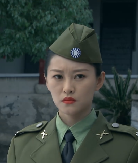 刁士英（电视剧《双重任务》中的角色）_百度百科