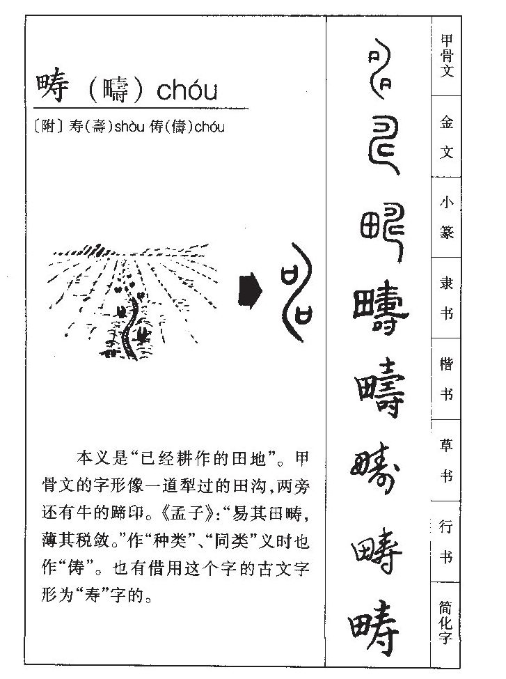  p>畴(拼音:chóu)是汉语通用规范一级汉字(常用字).