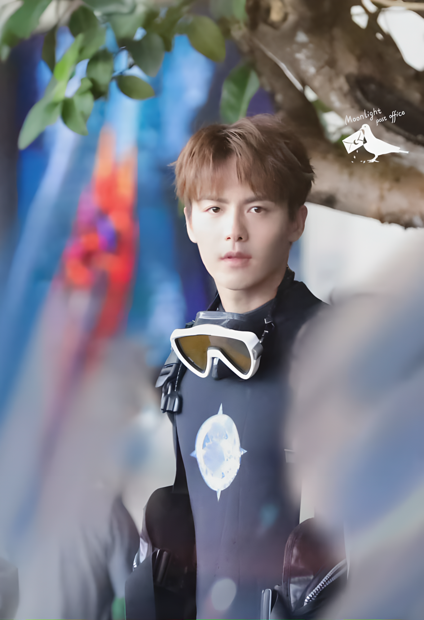 完美的夏天第二季