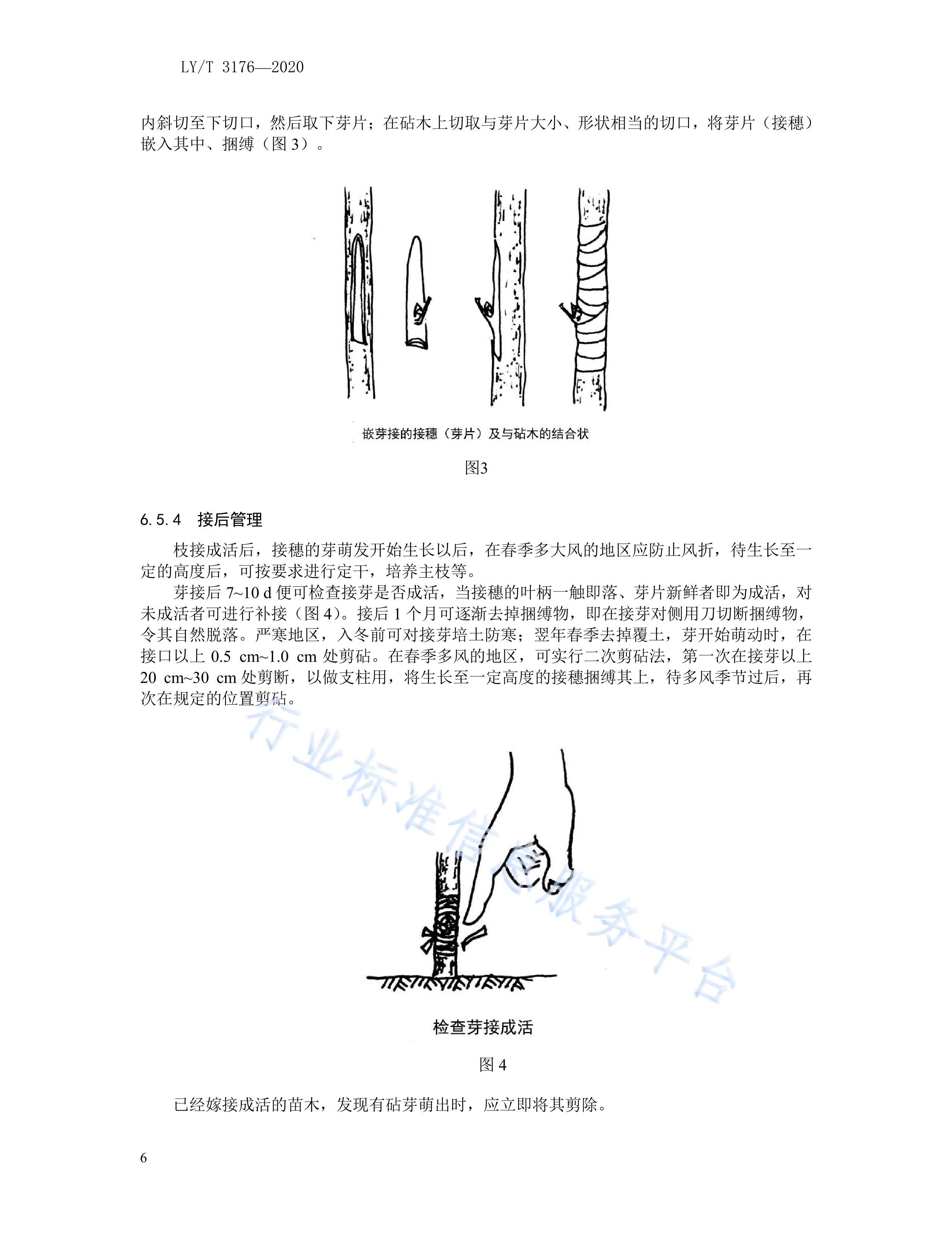  p>《梅花培育技术规程》(ly/t 3176-2020)是2020年10月1日实施的一项