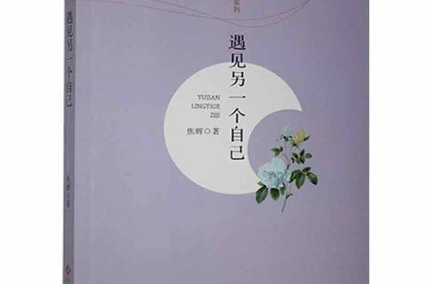 遇见另一个自己