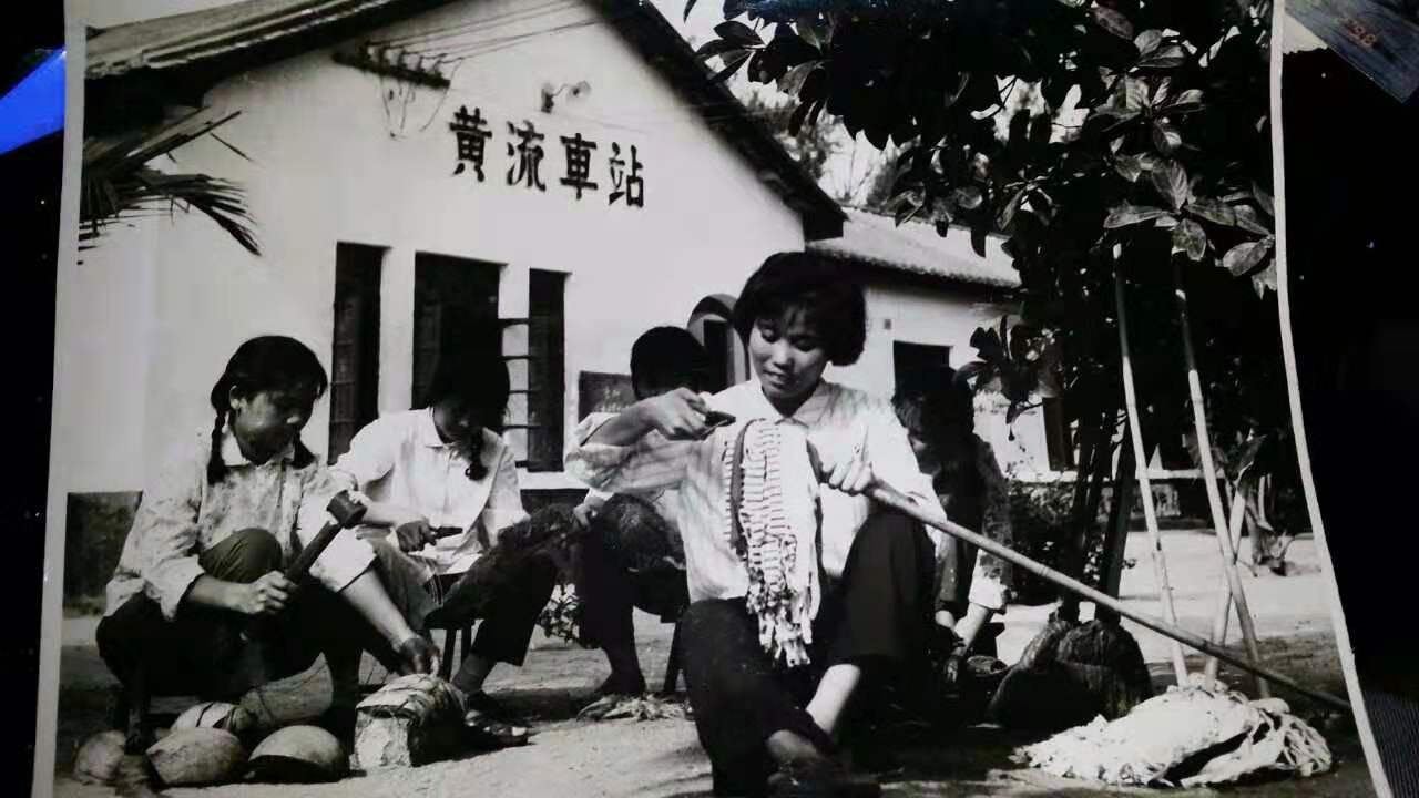  p>1978年6月,海南铁路经过整顿治理,加强业务归口管理,成立黄流
