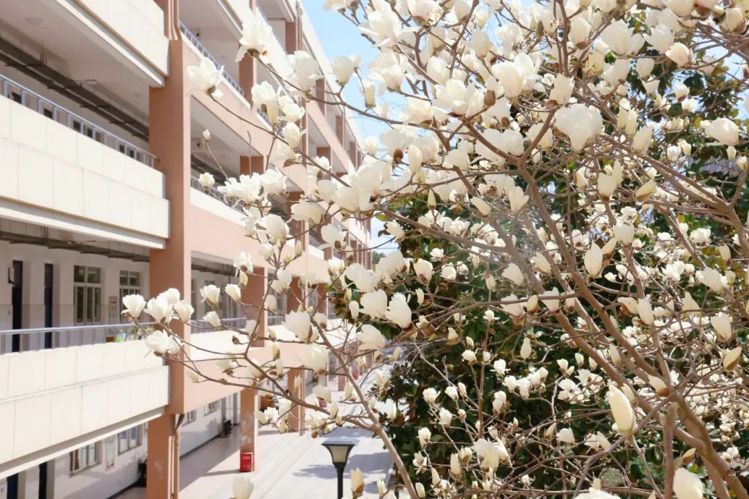 常州市武进区第二高级中学
