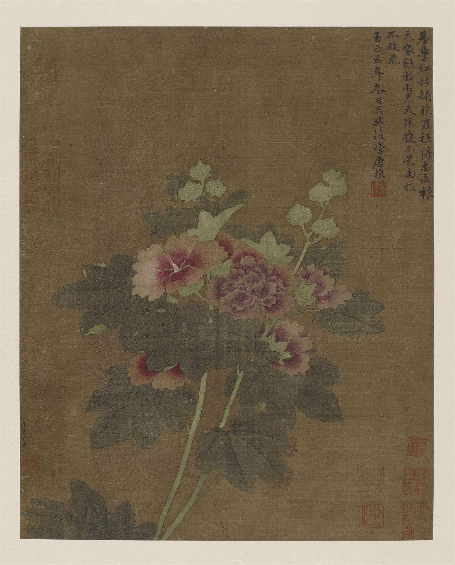 唐棣