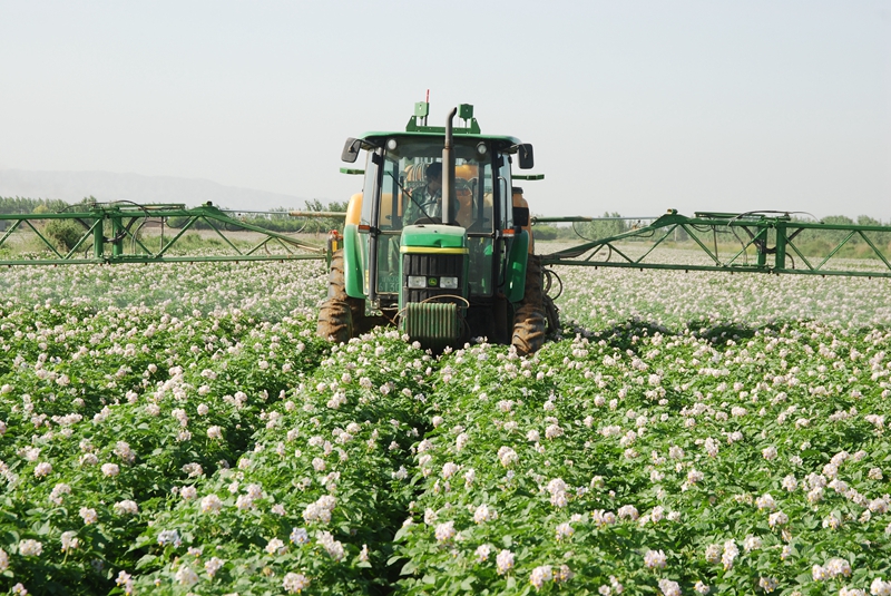  p>甘肃条山农庄位于白银市景泰县条山农场(原十六团)四分场,距景泰