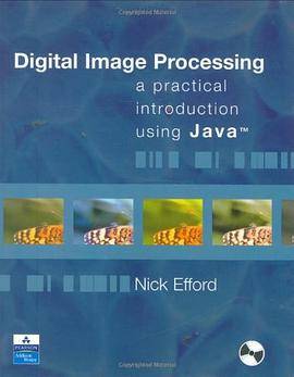 Digital Image Processing Using Java 6_百度百科