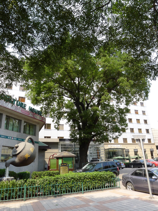 金鱼胡同