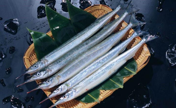  p>胡瓜鱼(学名: i>osmerus mordax&nbsp;(mitchill) /i>),为 a